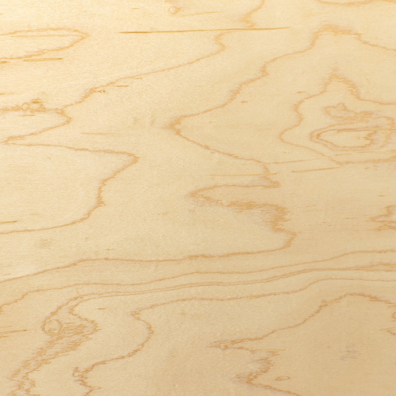 Maple wood grain